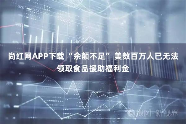 尚红网APP下载 “余额不足” 美数百万人已无法领取食品援助福利金