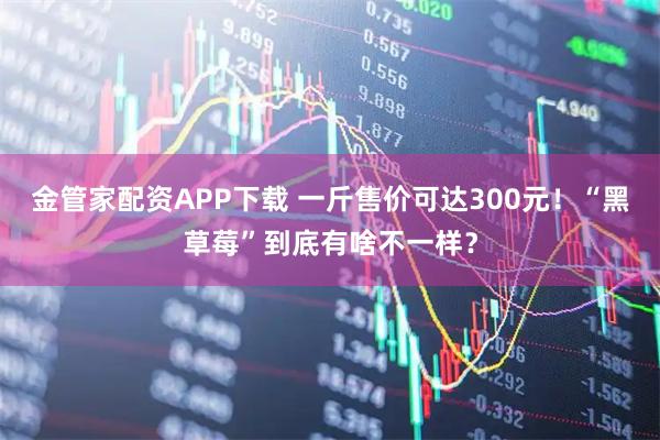金管家配资APP下载 一斤售价可达300元！“黑草莓”到底有啥不一样？