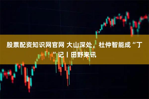 股票配资知识网官网 大山深处，杜仲智能成“丁”记丨田野来讯