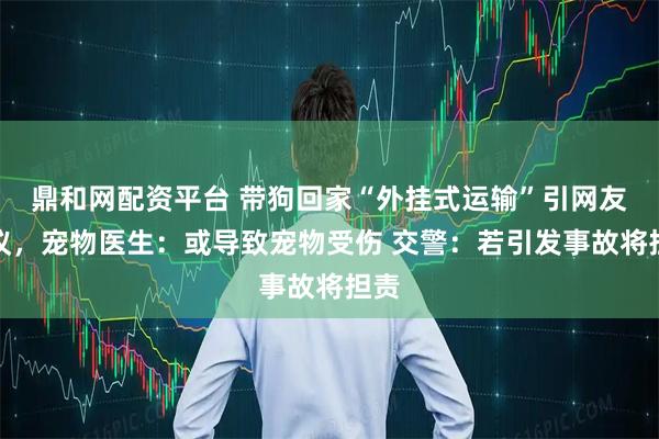 鼎和网配资平台 带狗回家“外挂式运输”引网友争议，宠物医生：或导致宠物受伤 交警：若引发事故将担责