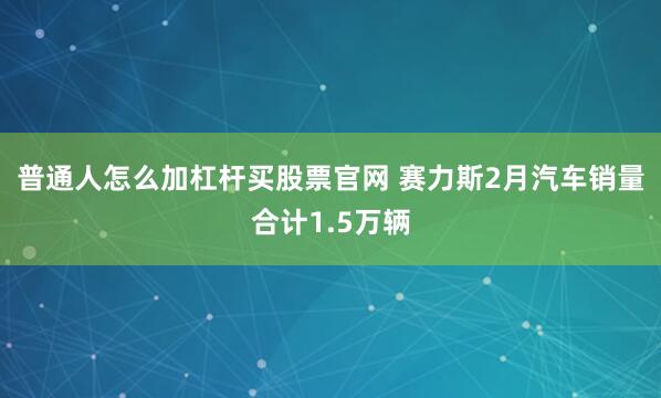 普通人怎么加杠杆买股票官网 赛力斯2月汽车销量合计1.5万辆