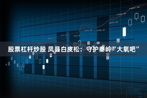 股票杠杆炒股 凤县白皮松：守护秦岭“大氧吧”